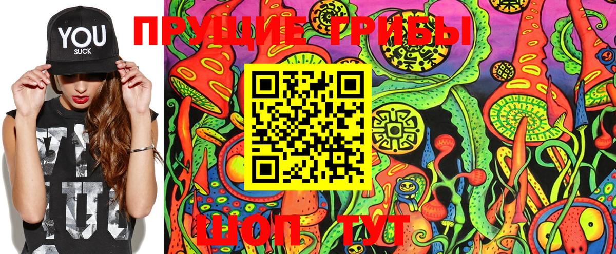 Карачаевск  Галлюциногенные грибы Psilocybine cubensis  Вход с VPN  Галлюциногенные грибы прущие грибы 