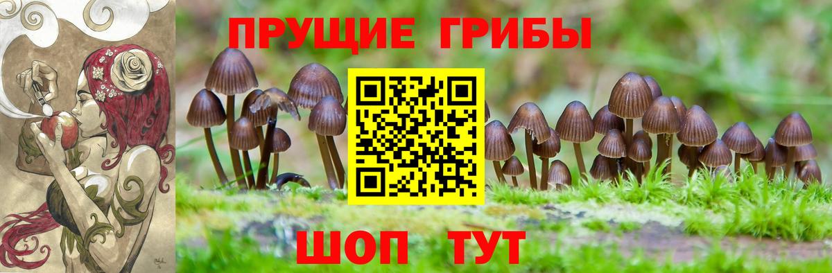 Псилоцибиновые грибы ЛСД Карачаевск